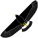 Blackhawk logo